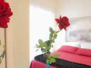 Addormi Oda ve Kahvaltı 5*