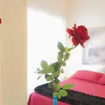 Addormi Nocleg ze śniadaniem 5*